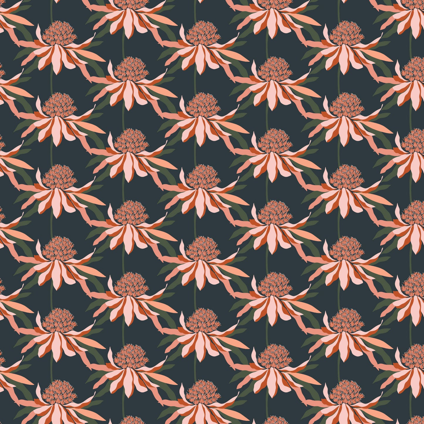 Rachel Holowko Collection - DV7224 Echinacea - per 50cm length