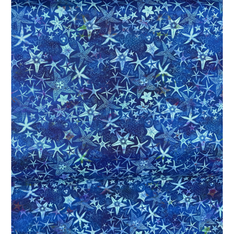 Blue Shells - 4.8m length