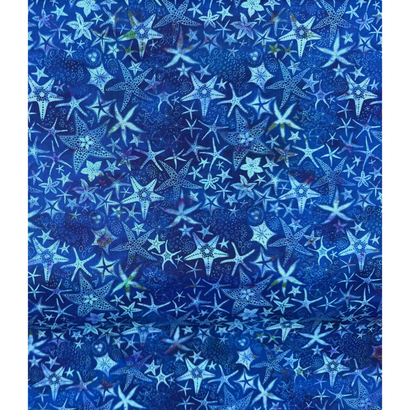 Blue Shells - 4.8m length
